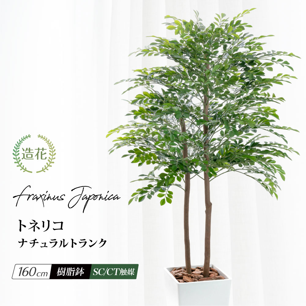 神戸花物語 フェイクグリーン トネリコ 人工観葉植物 大型 光触媒 天然