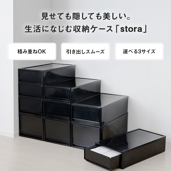 JEJアステージ 収納ボックス 衣装ケース(同色2個セット)(ストラ