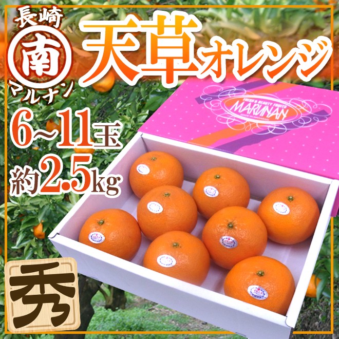 996-amakusap2kg02.jpg