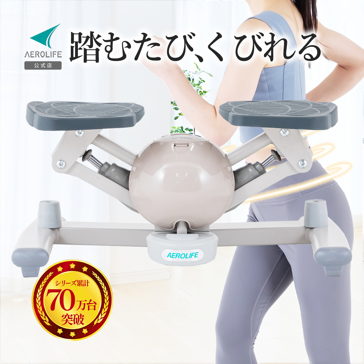 AEROLIFE（エアロライフ） ステッパー ツイストステッパー くすみ