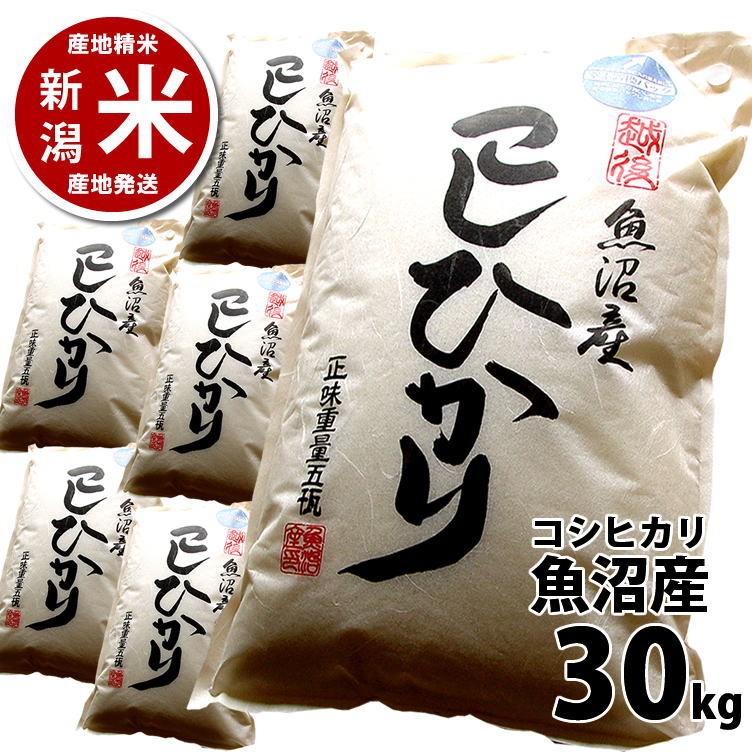 まとめ買い割引】コシヒカリ 30kg 魚沼産 令和7年度産 新潟米 産地直送