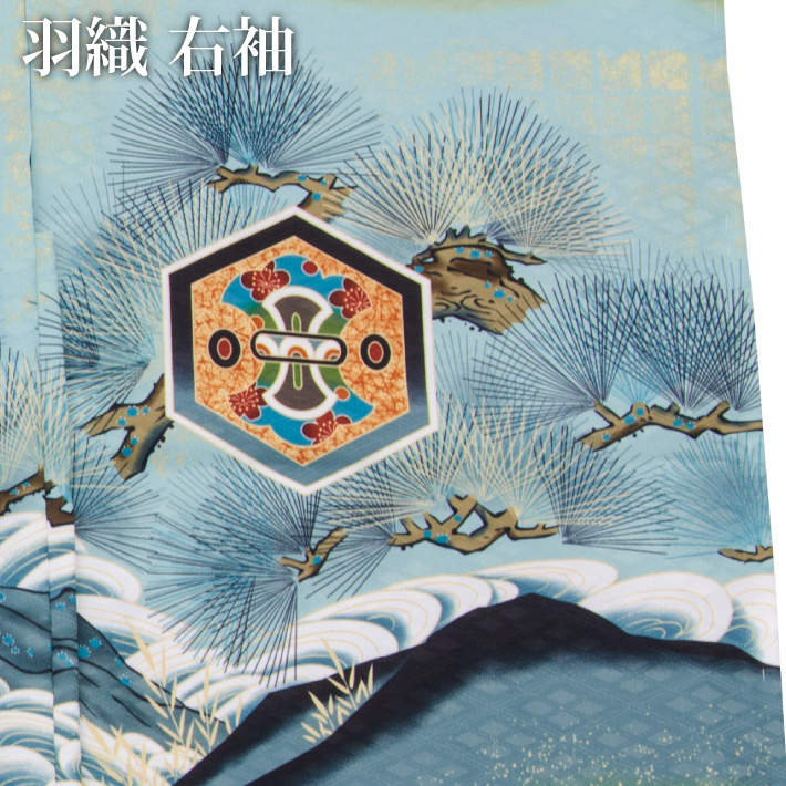 七五三 着物 男の子 五歳 13点フルセット 長門 鷹 鏡 緑 羽織袴セット