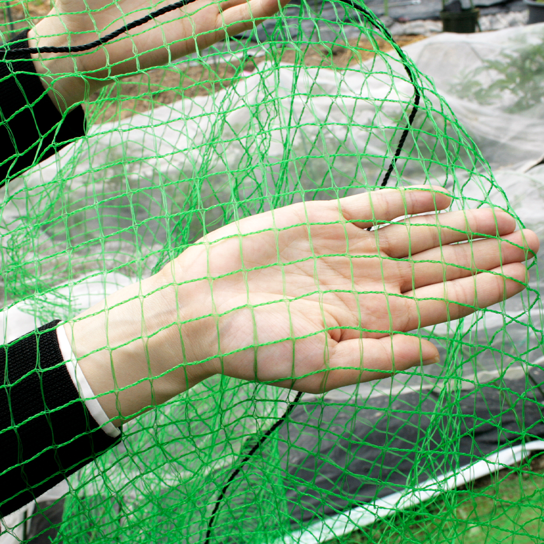 防鳥ネット 丈夫な防鳥ネット（4m×50m）1巻 目合17mm グリーン 網 防鳥