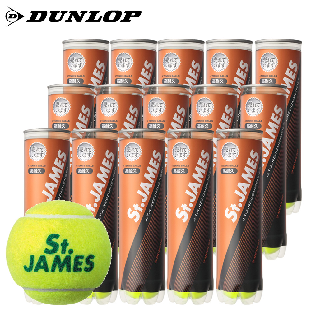 DUNLOP（ダンロップ） 「FORT フォート [2個入]1缶」テニスボール