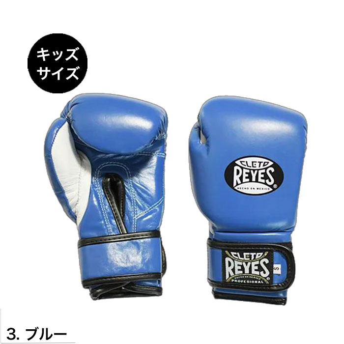 Reyes（レイジェス） キッズ ボクシンググローブ スパーリング