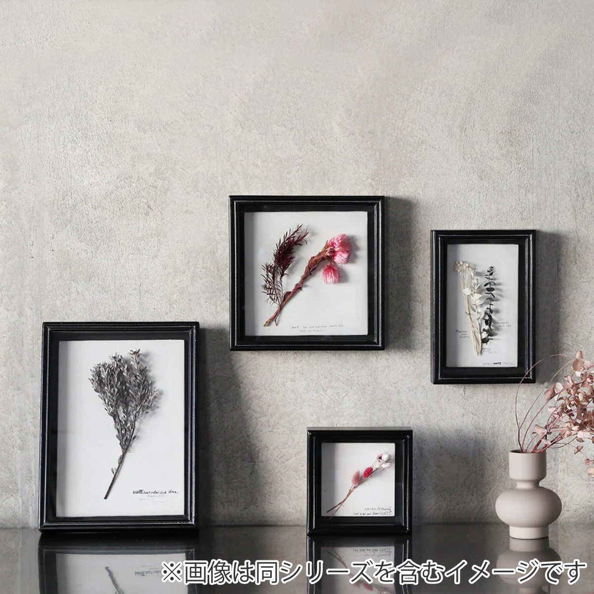magnet フラワーフレーム SPECIMEN FRAME 30×40cm 木製 フレームのみ