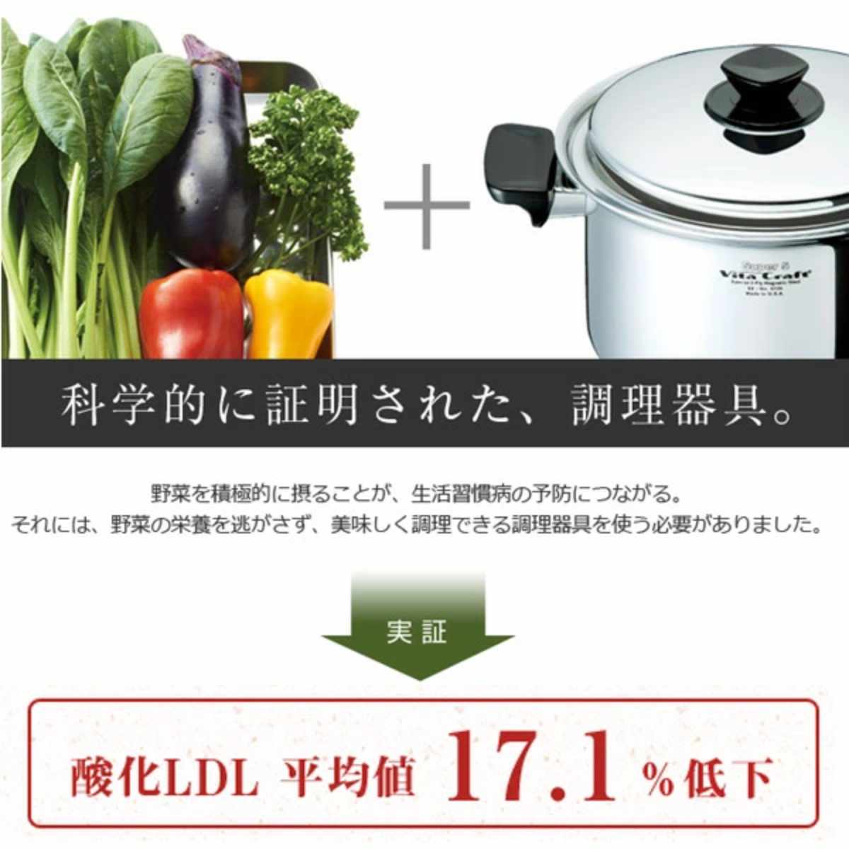 Vita Craft（ビタクラフト） 両手鍋 24cm IH対応 アリゾナ 5.7L