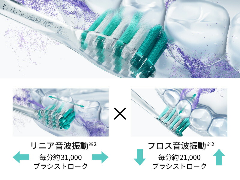 Doltz 公式店 パナソニック W音波振動ハブラシ ドルツ 電動歯ブラシ EW