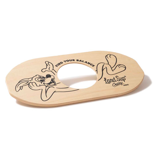 バランスボード LandSup Crazy mini ランドサップ クレイジーミニ 全2