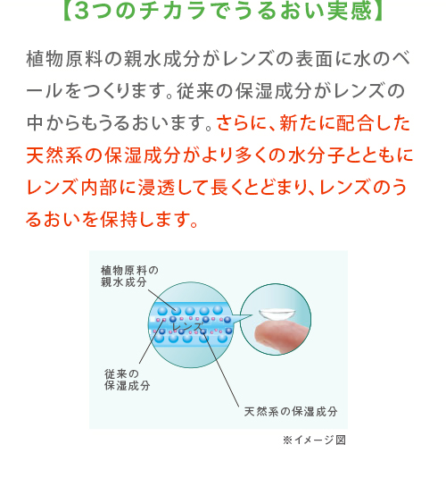 メニコン エピカ アクアモア 310ml 3本パック 70ml 1本オマケ付き