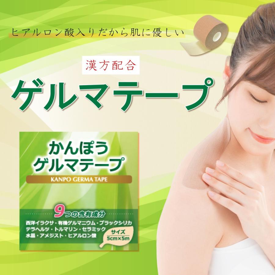 公式 貼り替えシール プラスターシール 100粒分 10シート 絆創膏 磁気