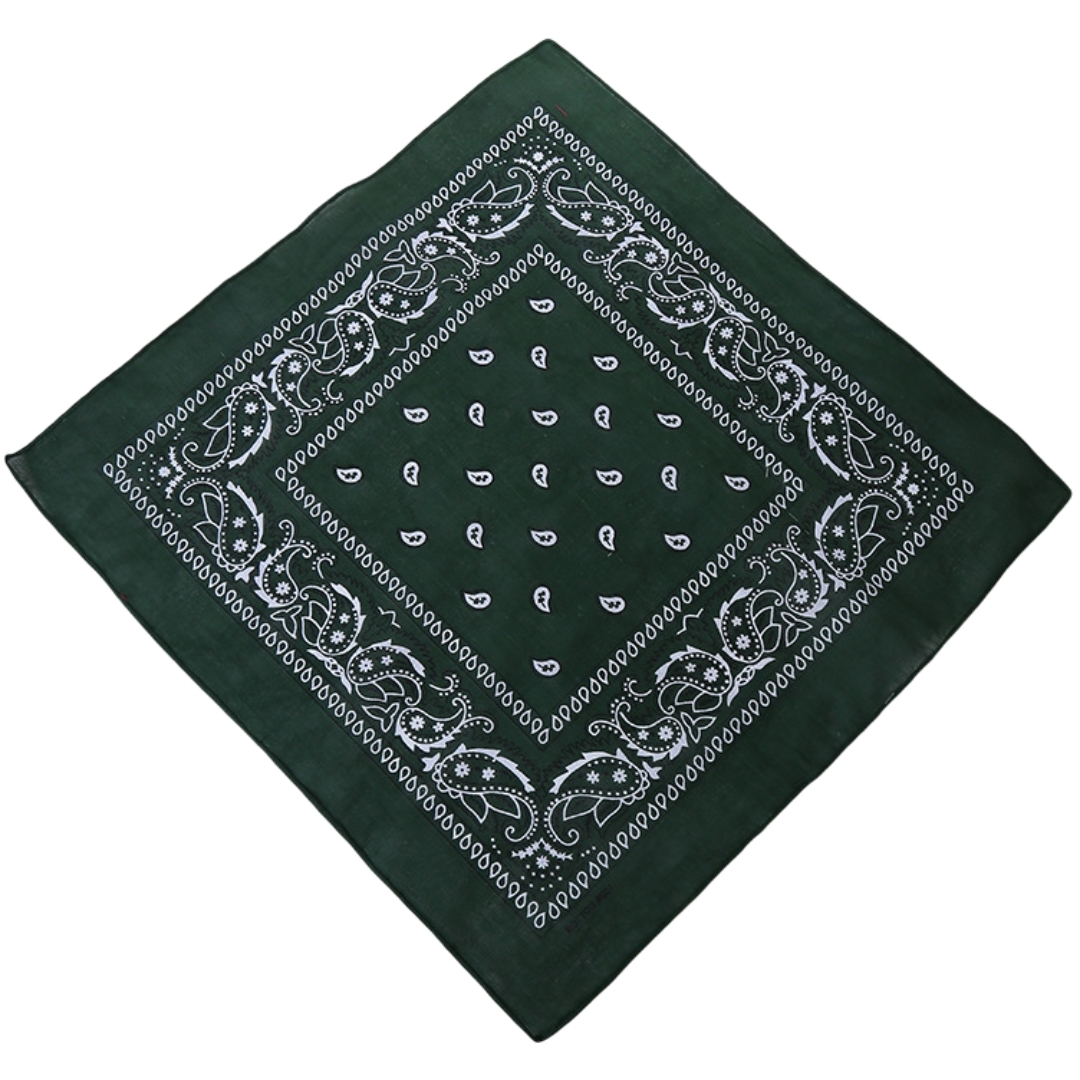 plusnao（プラスナオ） スカーフ ミニスカーフ バンダナ 幾何学模様