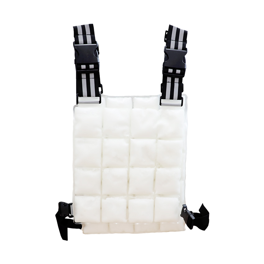 アイスベスト 暑さ対策 冷却ベスト 空調服 ベスト 保冷剤 アイス