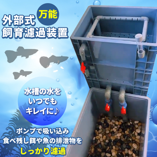 濾過器 ろ過 沈殿層 蓋あり 濾過装置 濾過外部式濾過層 ウィスト濾過
