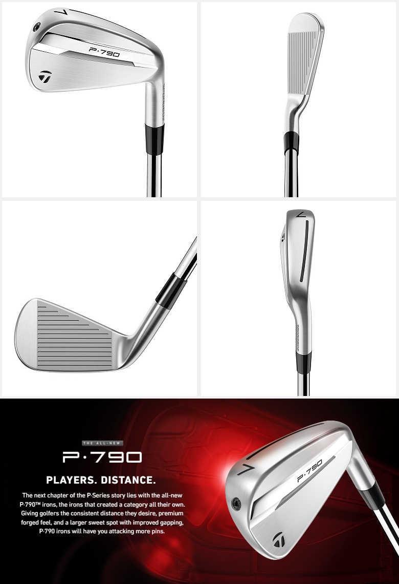 TaylorMade（テーラーメイド） (単品アイアン) TaylorMade 2025 P・790