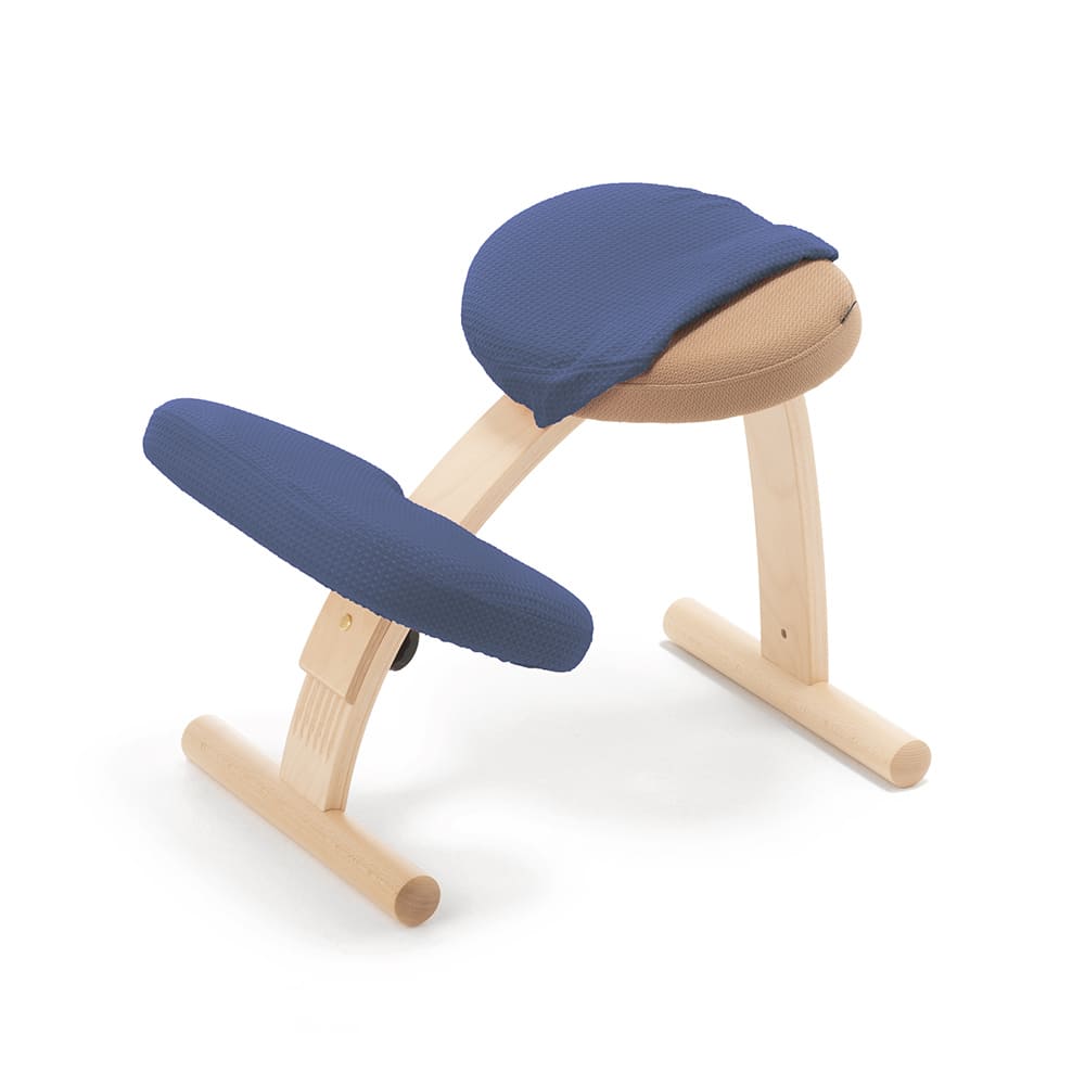 バランスラボ バランスチェア バランスチェアー バランスイージー