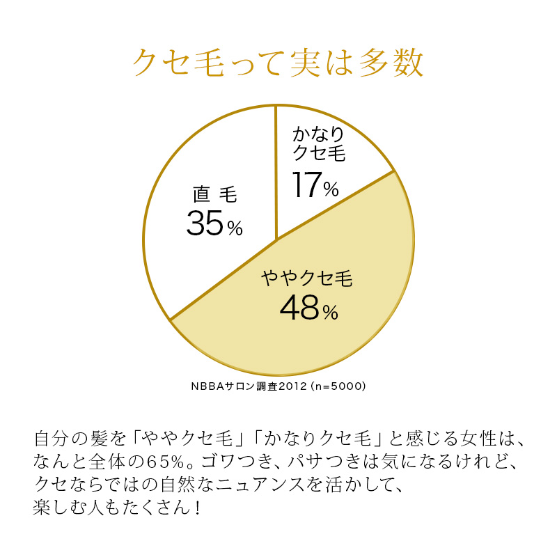 LebeL（ルベル） イオセラム クレンジング 2500ml (シャンプー) +