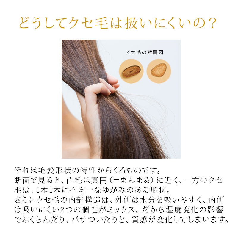 LebeL（ルベル） イオセラム クレンジング 2500ml (シャンプー) +