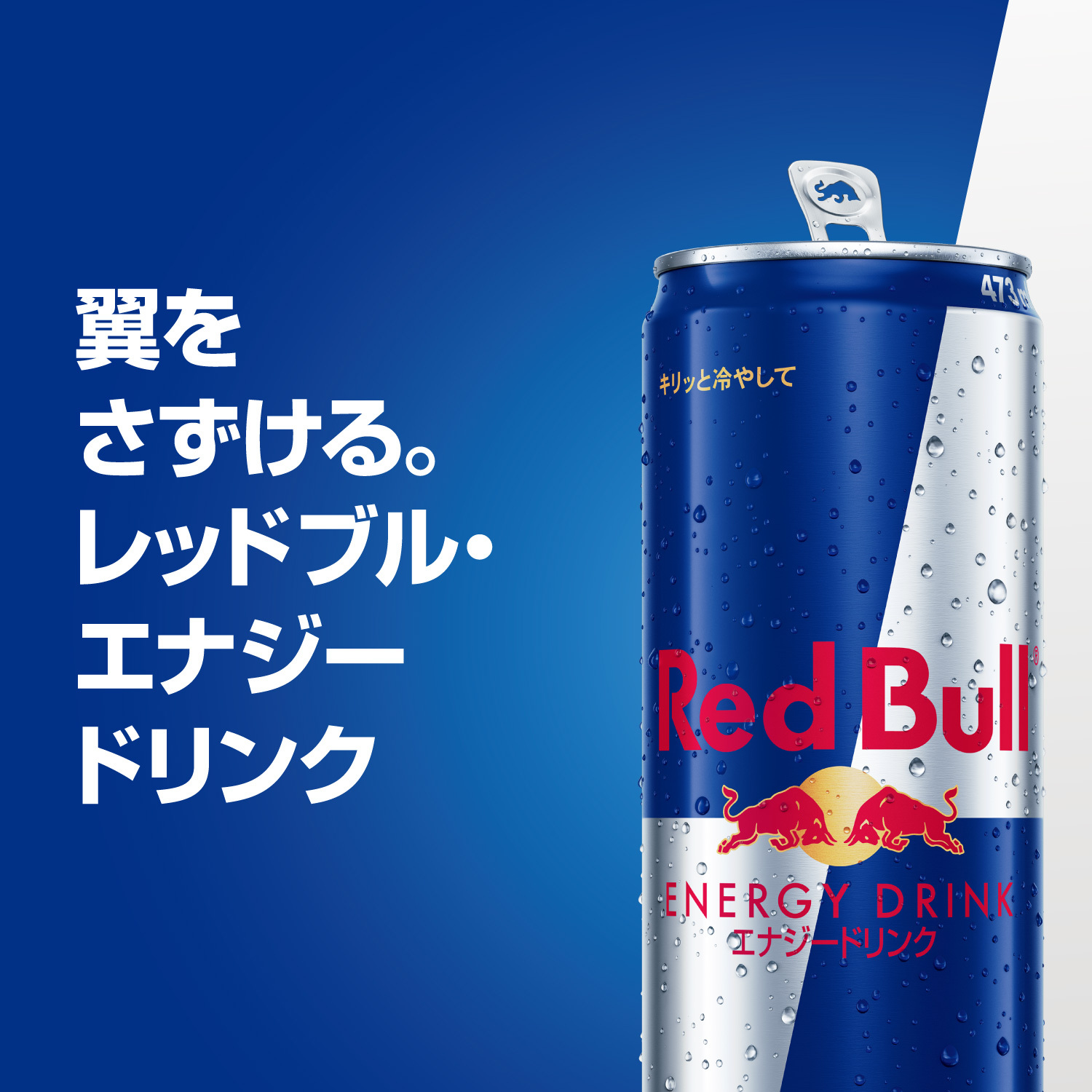 レッドブル（RedBull） ＼10%OFFクーポン対象 2/25まで／公式 エナジー