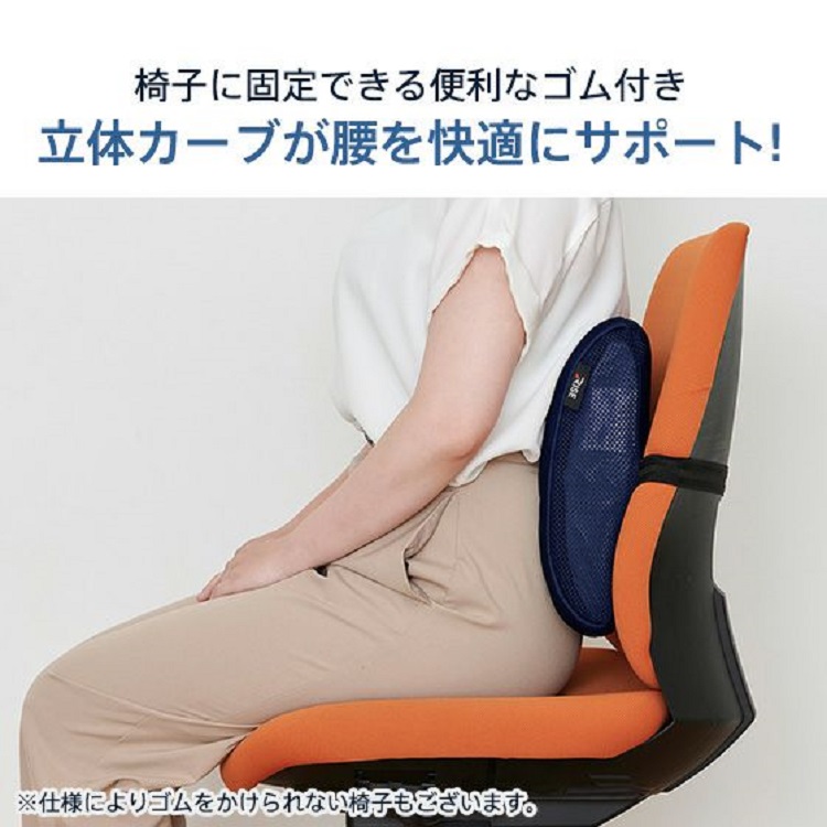 ライズ東京 腰サポートクッション V02 スリープオアシス 姿勢サポート