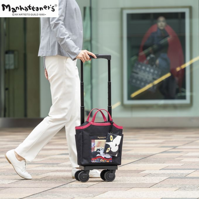 SWANY（スワニー） キャリーバッグ 公式 ショッピングカート キャリー