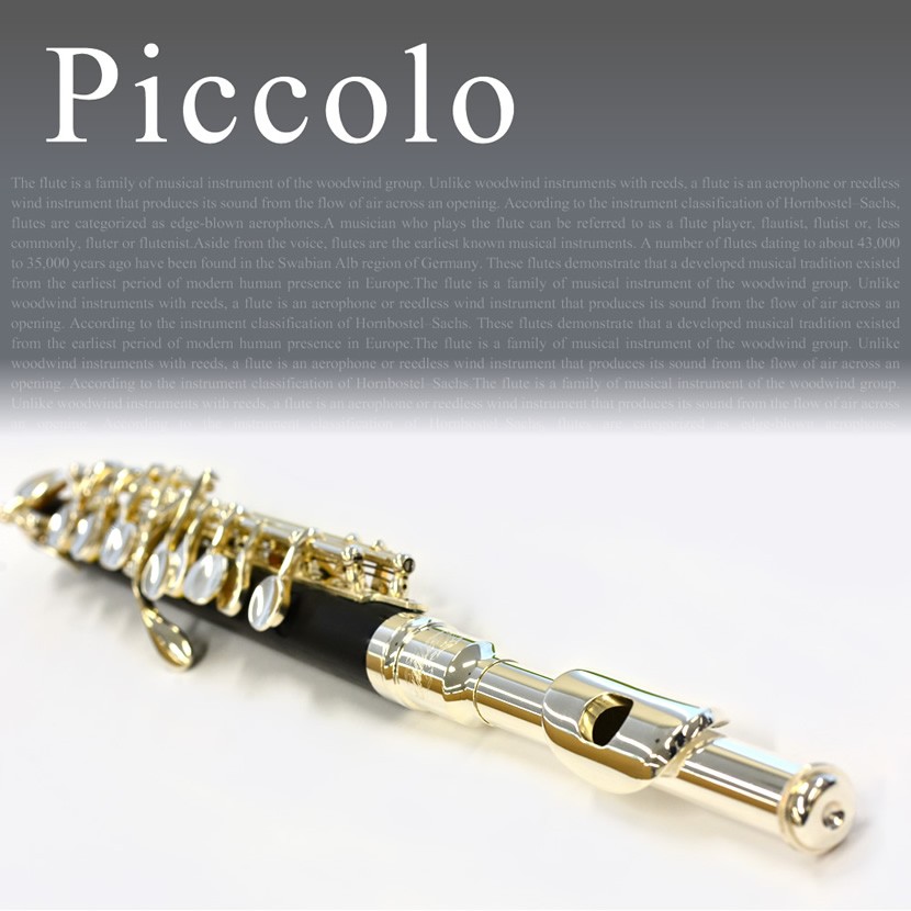 Soleil ピッコロ SPC-1 単品〔専用ケース、その他付属品付き