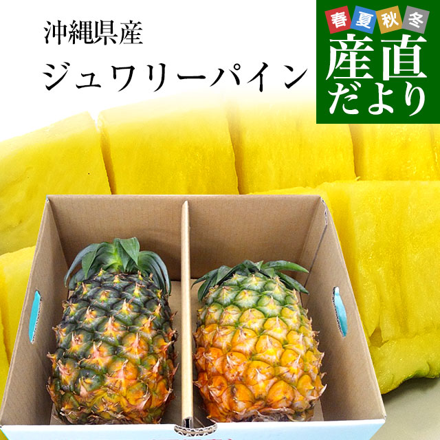 沖縄県より産地直送 JAおきなわ ジュワリーパイン2LからLサイズ2玉