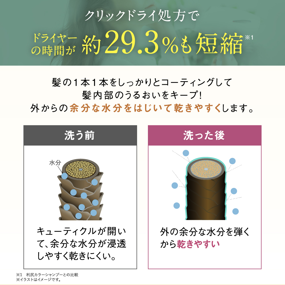 カラーシャンプー 専用ボトル+詰め替え用 240ml セット 無添加