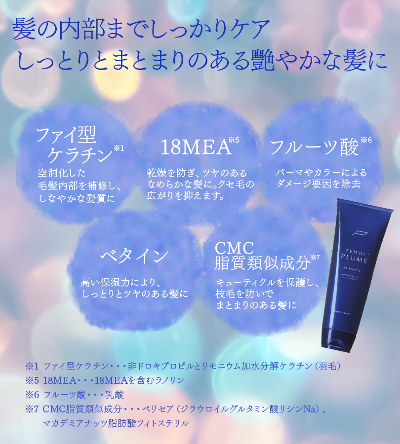テモイ プルームシャンプー 300ml ヘアマスク 250g セット 美容 美髪