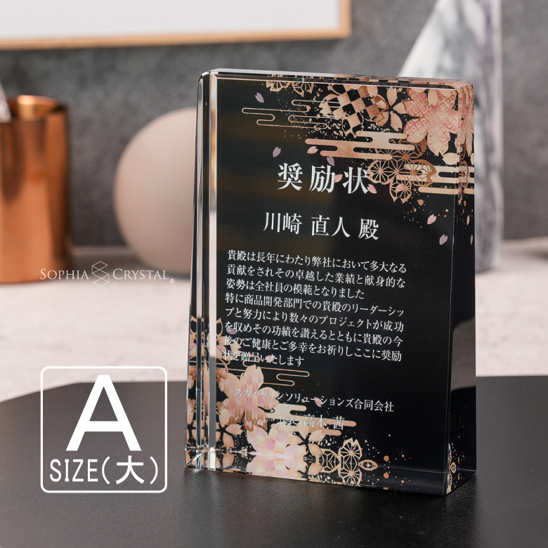 楯SO-5311-B 表彰 記念品 賞品 レプリカ 表彰楯 SO-5311｜トロフィー