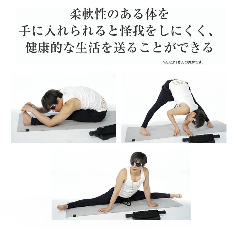 エクストラリリース / GACKTプロデュース ストレッチ 回転ローラー