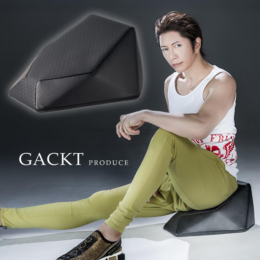 エクストラクッション / GACKTプロデュース スタイルアップ 骨盤 柔軟