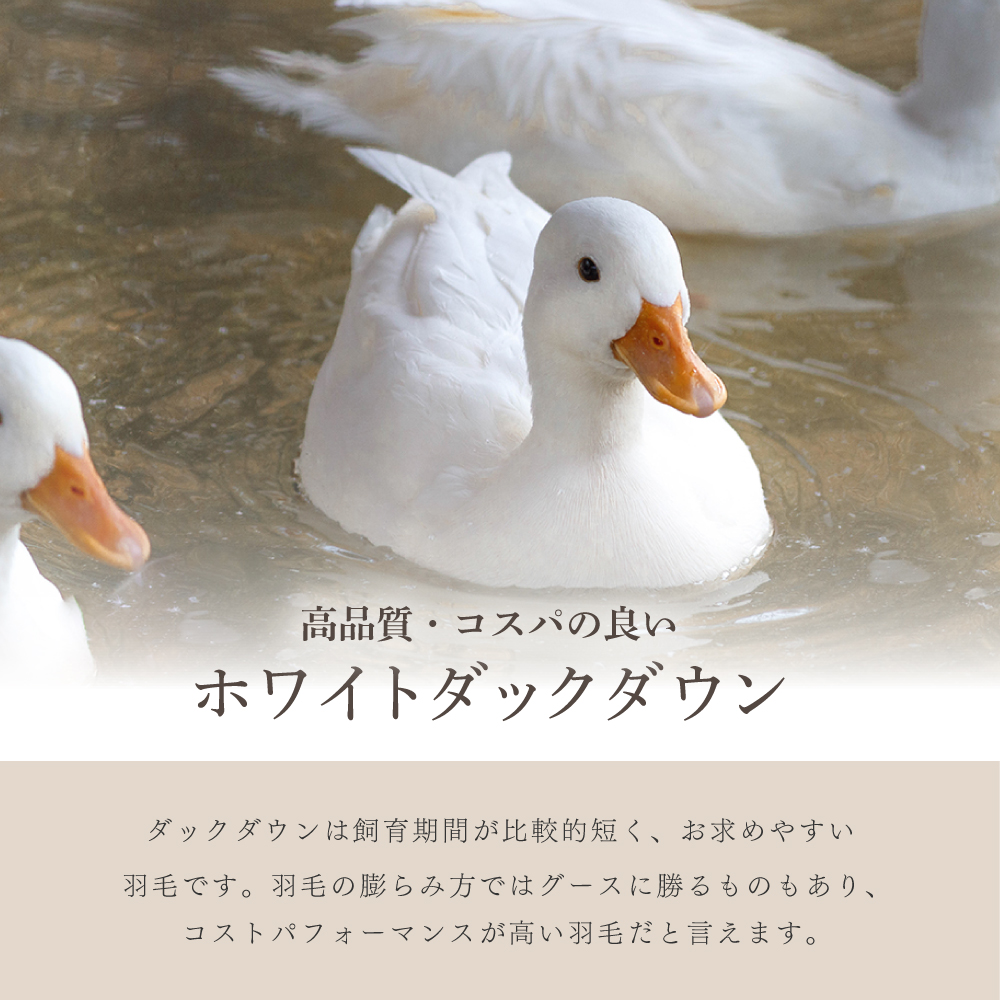 羽毛布団 シングルロング 150×210cm ホワイトダックダウン85％ 1.1kg