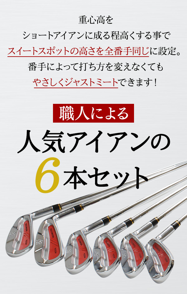 東邦ゴルフ アイアンセット NOW310 6本セット #5 6 7 8 9 PW