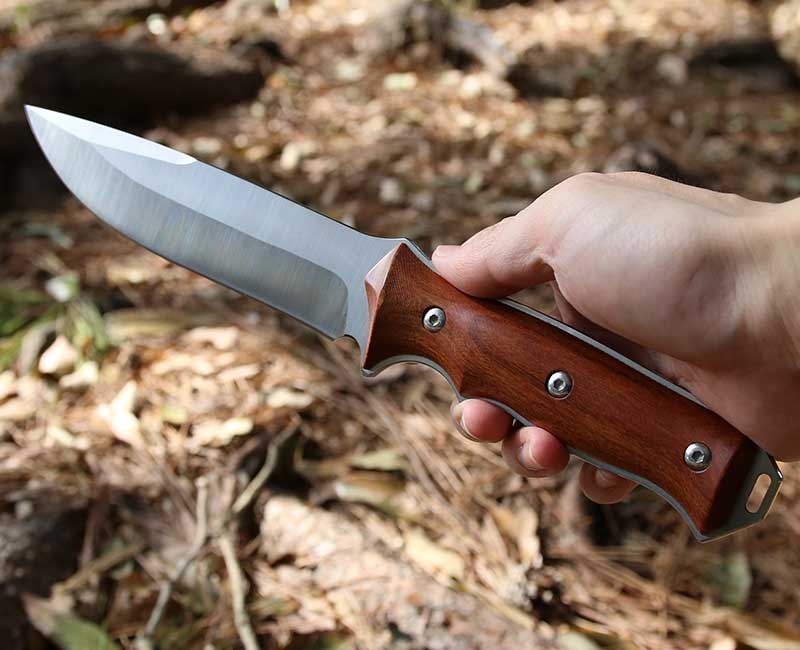 ダイワ HZ シーライン クエ MH484/B055L : 釣king - 通販 - Yahoo