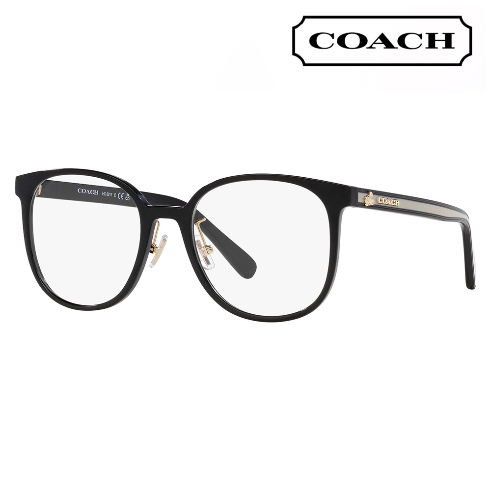 COACH（コーチ） メガネフレーム HC6217 5002 53 ウェリントン