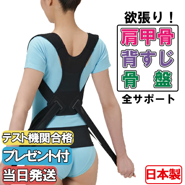 CERVIN（セルヴァン） 猫背矯正ベルト 姿勢矯正ベルト 日本製 国産