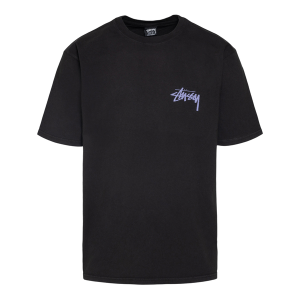 STUSSY（ステューシー） STUSSY STUSSY SKATE POSSE PIGMENT DYED T