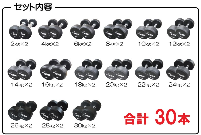 WILD 固定式ダンベルセット 12kg〜30kg ラック付き 2kg刻み WILD 固定
