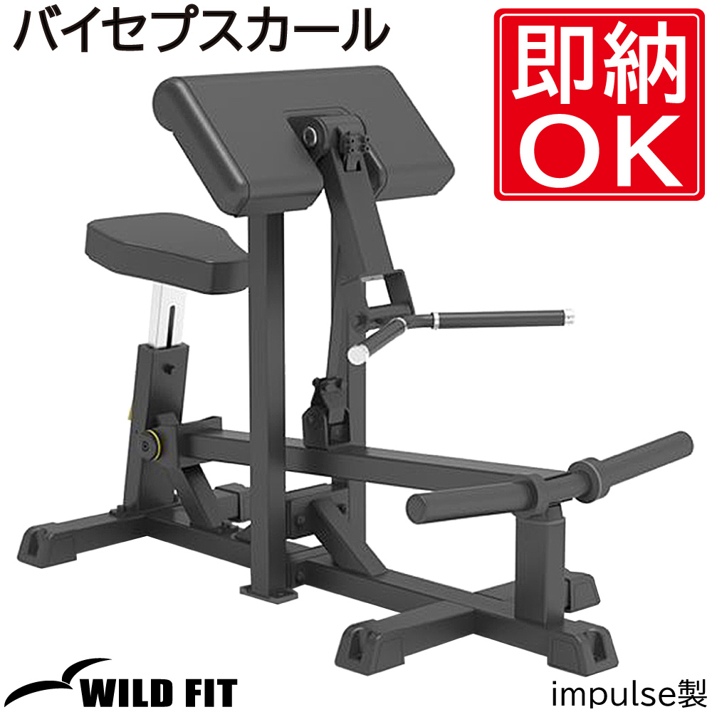 WILD FIT（ワイルドフィット） バイセプスカール / トレーニング器具