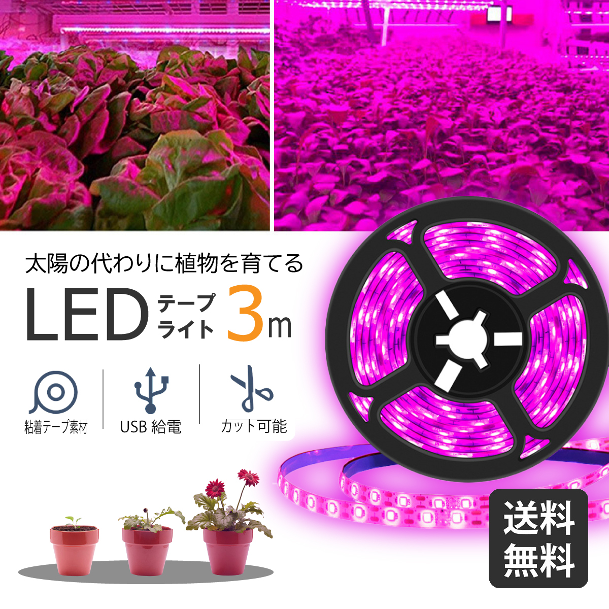 植物育成ライト led 2m 防水 usb対応 両面テープ 植物用ライト グロー