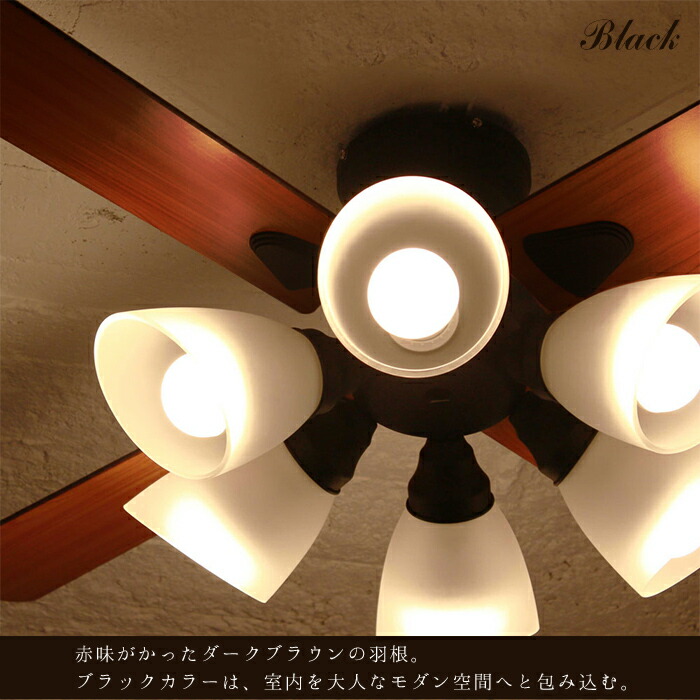 plus more 特典付 plusmore シーリングファン Windouble ウィンダブル