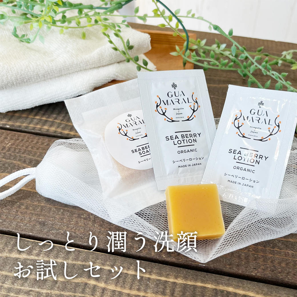 お試しソープ+ローションサンプル2個セット】ギー入り石けん