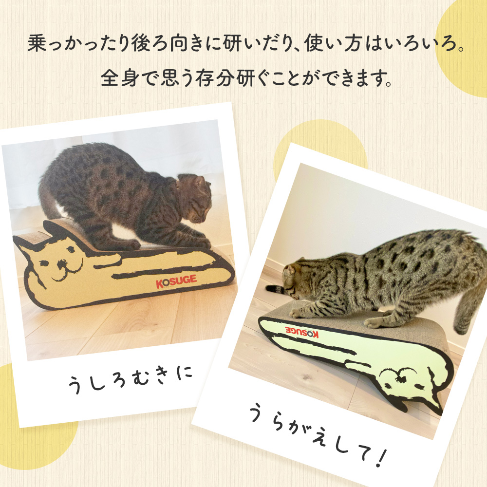 コスゲオリジナル]KOSUGE ORIGINAL コスゲ全身爪とぎ / キャットニップ