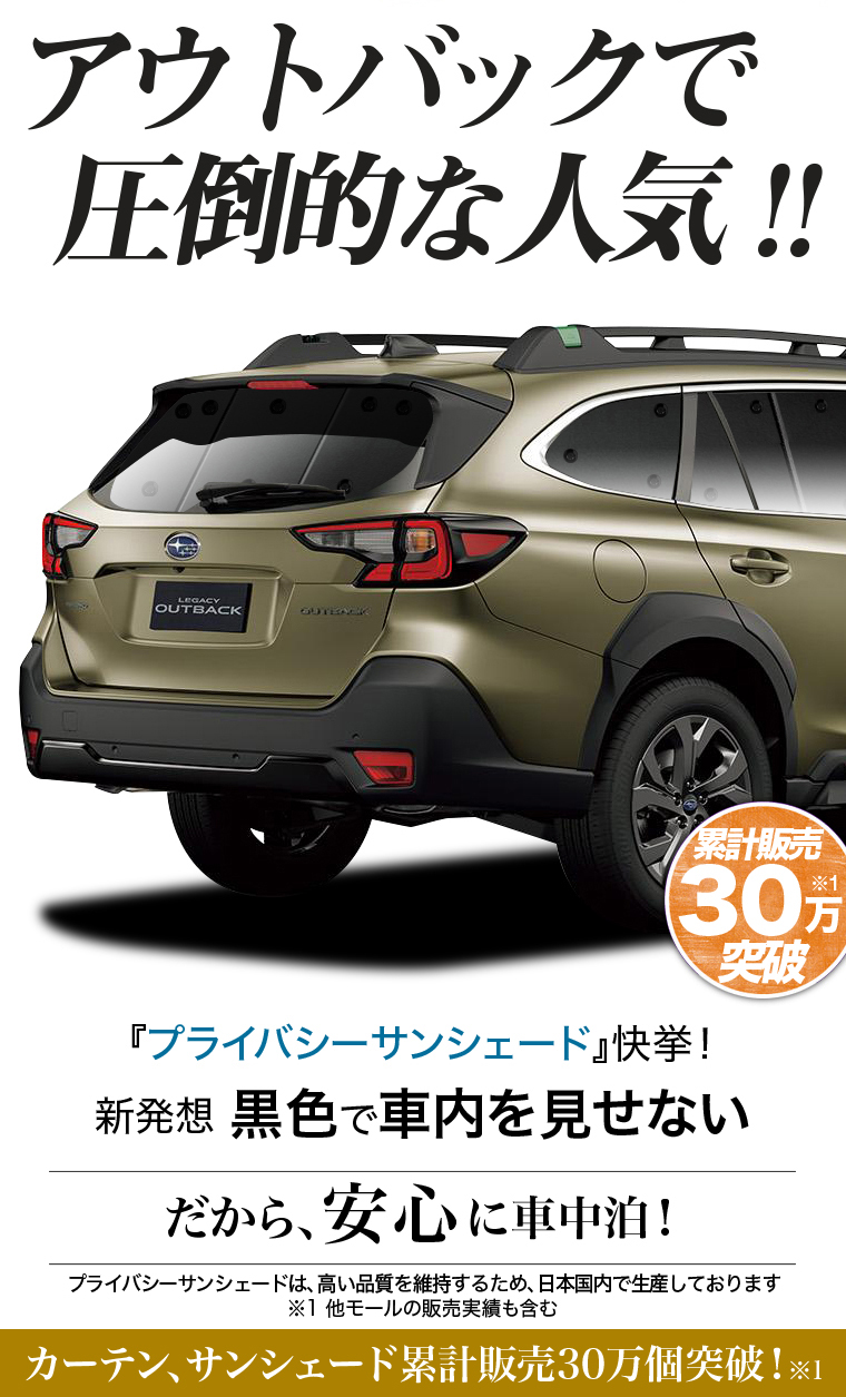 冬超得600円 新型 レガシィ アウトバック BT5型 BT9型 専用