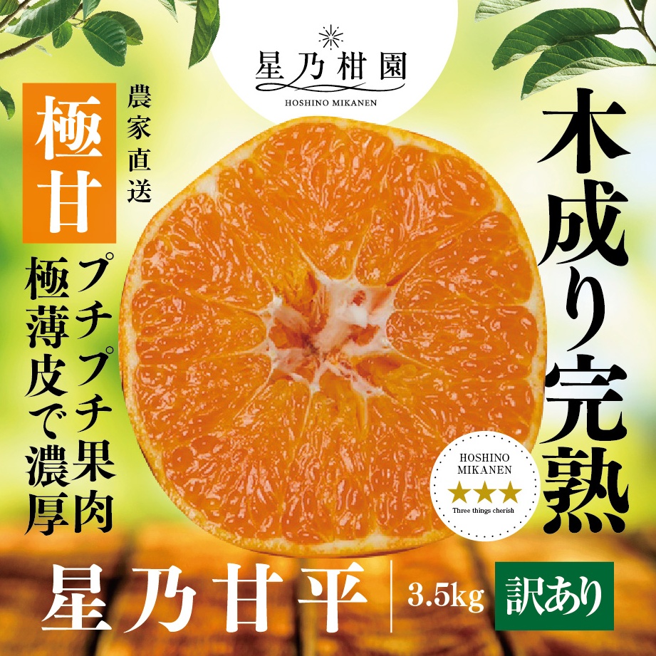 早割10%SALE】星乃甘平【木成り完熟みかん/訳あり】 3.5kg : 星乃