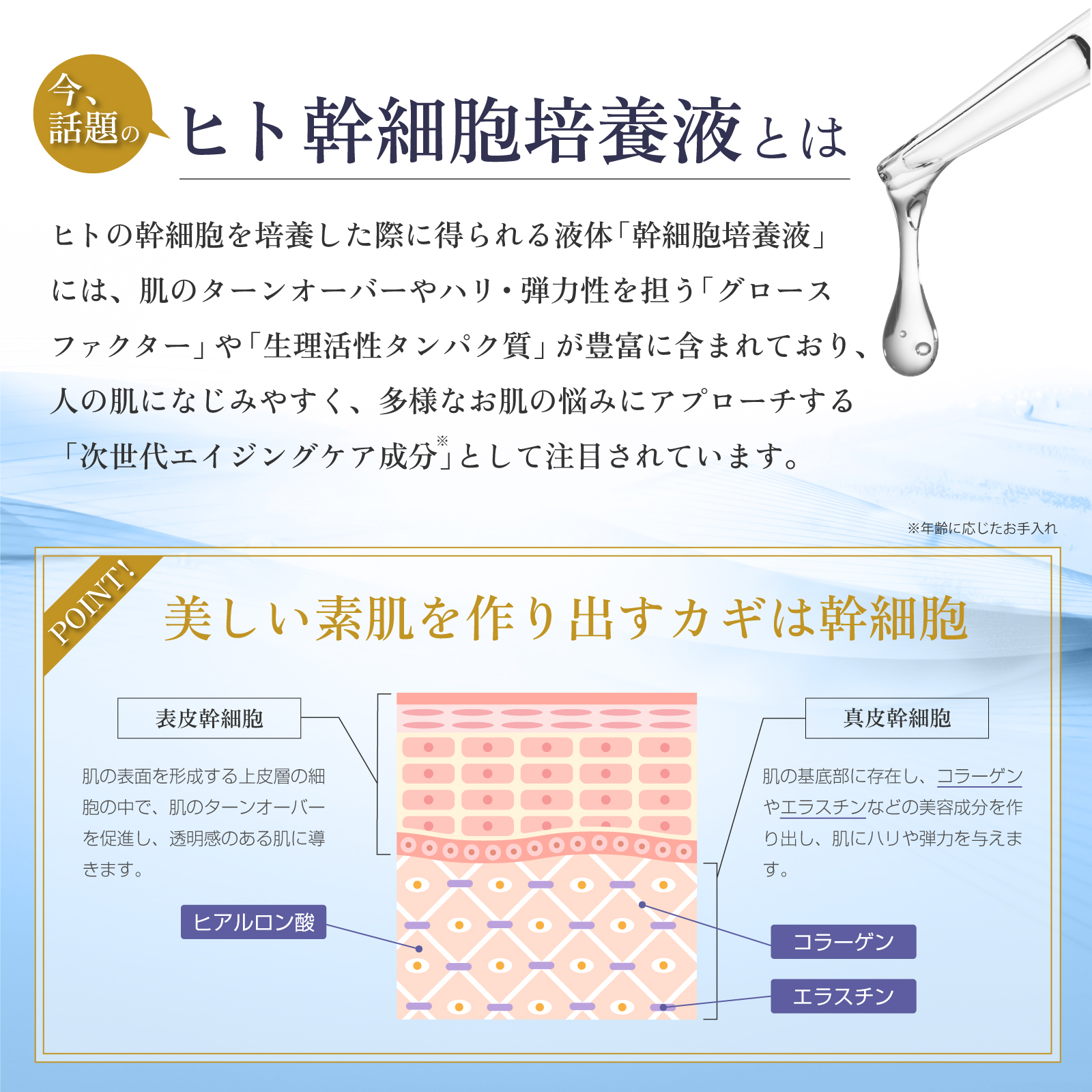 Future Science Lipo-Bio C-aid ヒト幹細胞 美容液 30ml 日本製