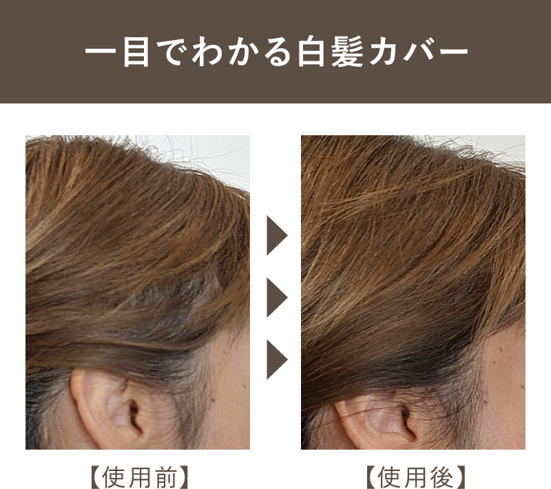 カラーストーリー アリミノ プライム ポイントコンシーラー M 10ml×2個