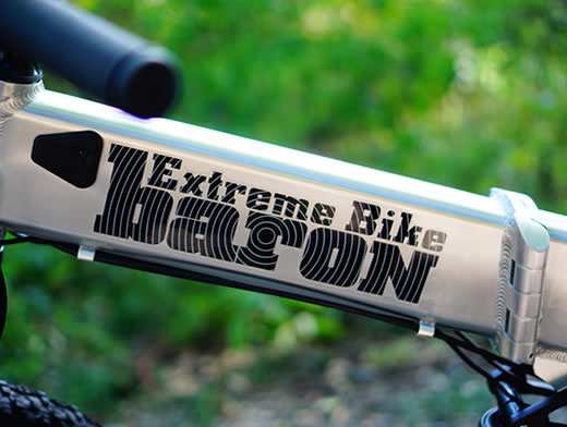 BARON-X バロン-X 26インチ | 京の洛スク