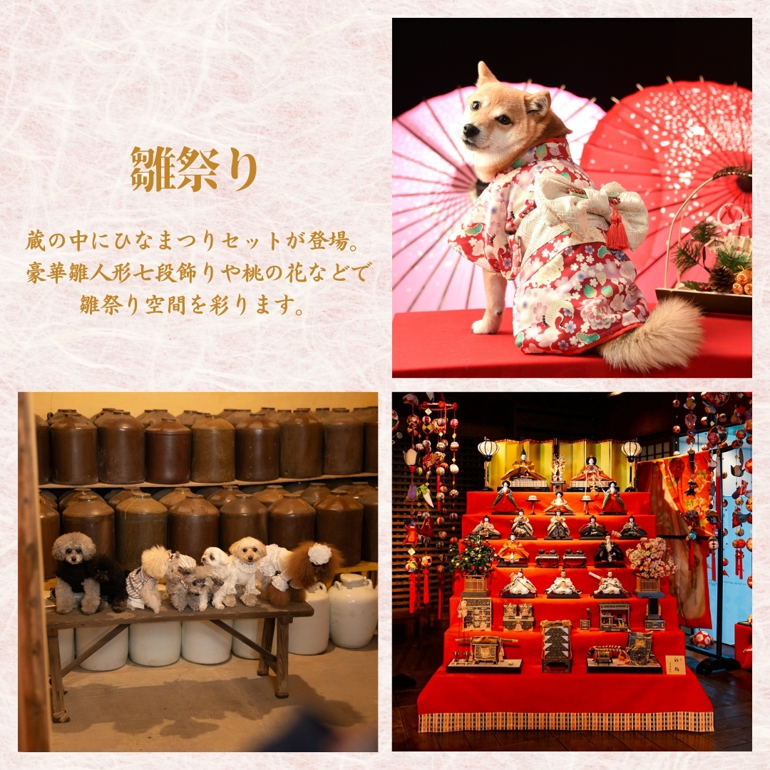 2月14日（金）～16日（日）開催！【小型犬限定】梅まつり・雛祭り